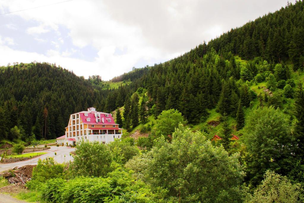 Hotel Green Valley Savsat Εξωτερικό φωτογραφία